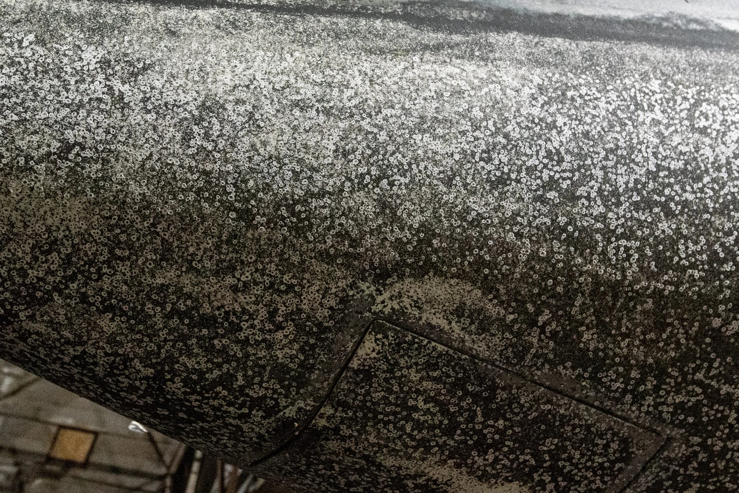 OMG, It’s Full of …