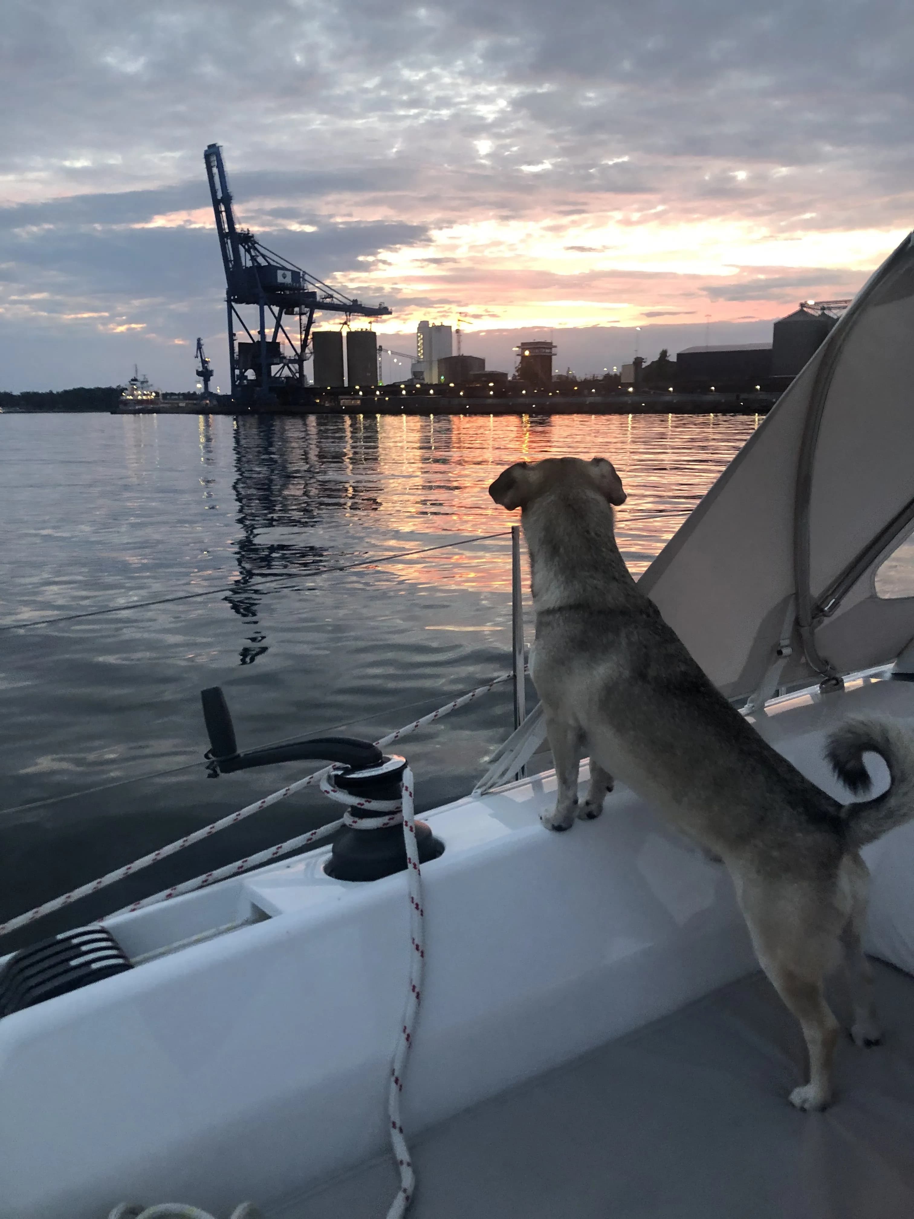 Industrial Light & Darkness